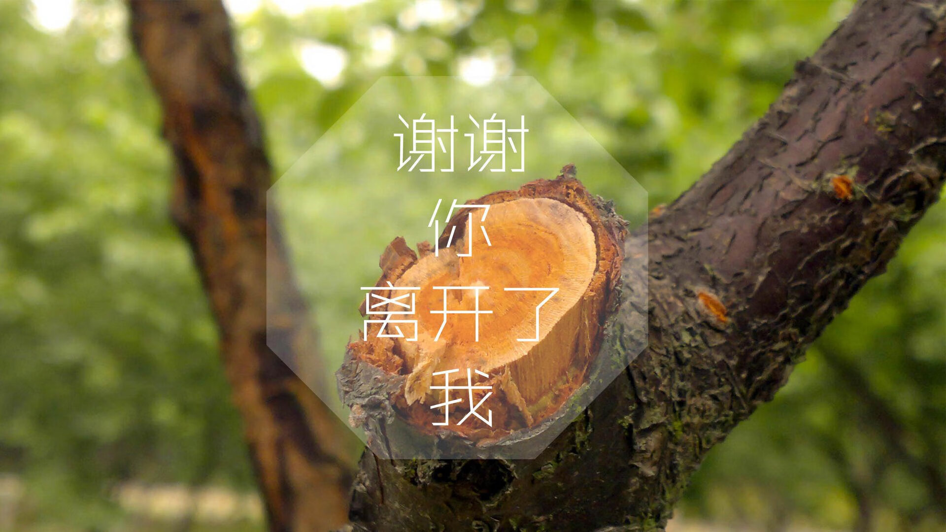 TES完成2025赛季体能与技术双评估，tes训练赛