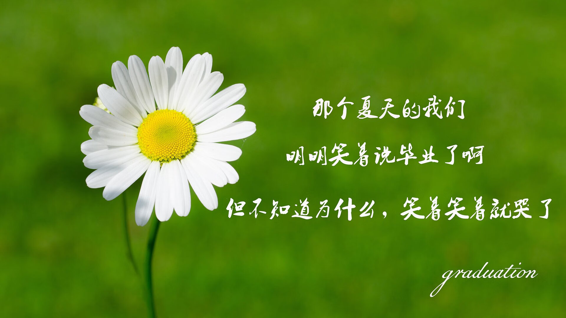开云网页版登录入口-T1战队推出“电竞运动员压力管理”工作坊