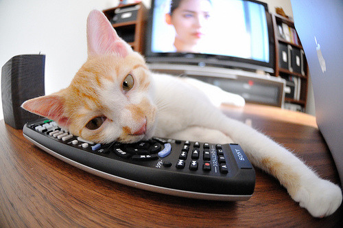 基耶沃客场一球小胜,积分榜上升,球员基耶利尼