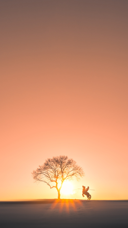 女子网球年终总决赛落幕,郑钦文跻身世界前十,2021年女子网球