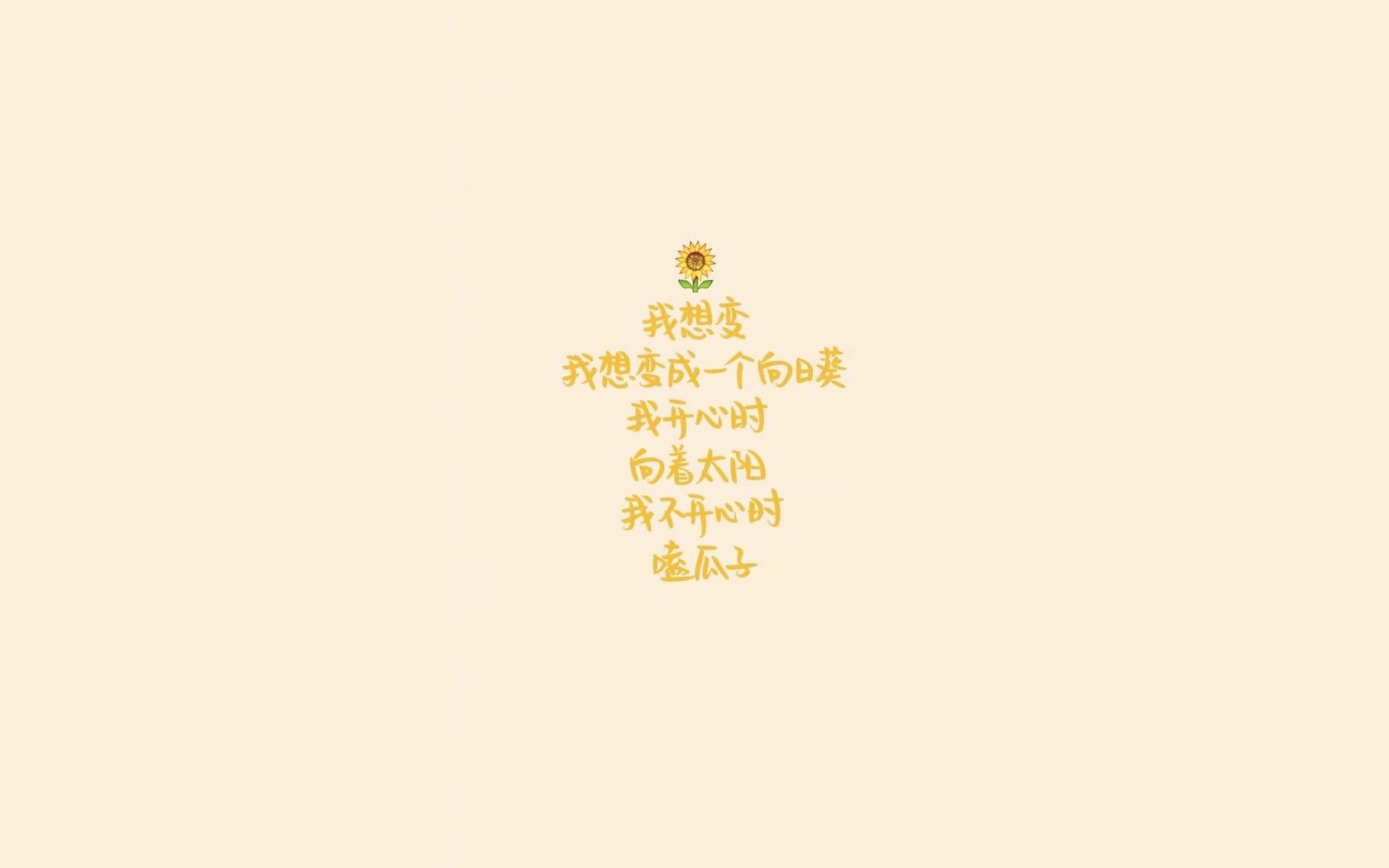 kaiyun体育app-女足世界杯国际媒体报道聚焦,女足世界杯比赛