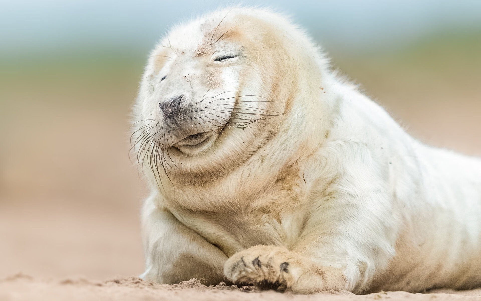 德国队胜出欧洲国家联赛,实力遥遥领先,德国对战欧洲杯