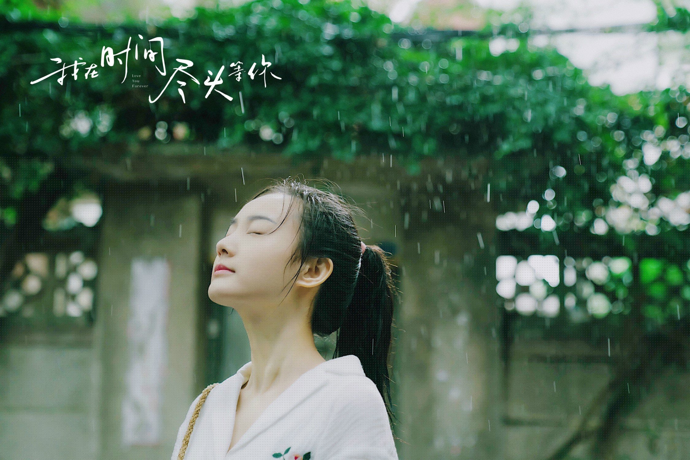 德甲冠军之争:拜仁冲击第十一冠的关键战,拜仁德甲冠军次数