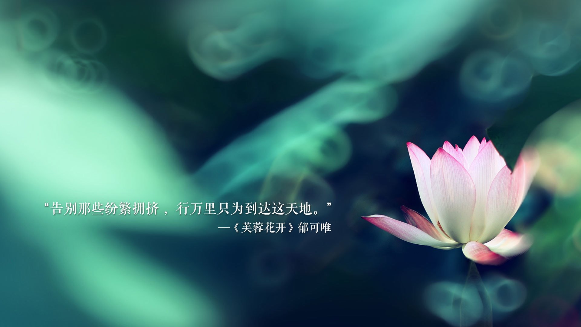 开云中国大陆-博卡青年前场站位过于固定,难撼对手,博卡青年球场叫什么名字