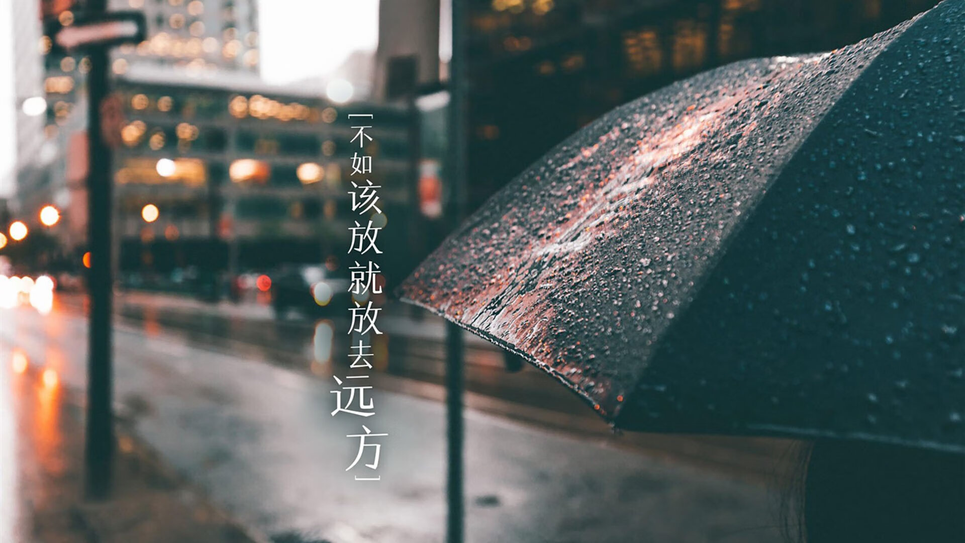 kaiyun中国官方网站-国王主教练强调保持进攻节奏是关键,国王现在的主教练