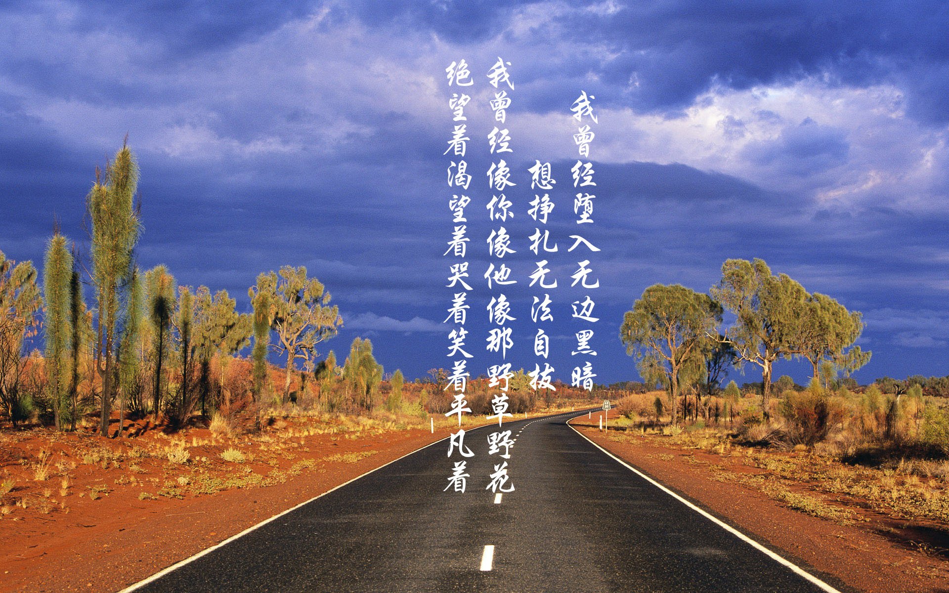 Kaiyun(中国)开云-自由泳冲刺朝鲜展现速度优势波兰男队自由泳展现强劲爆发力
