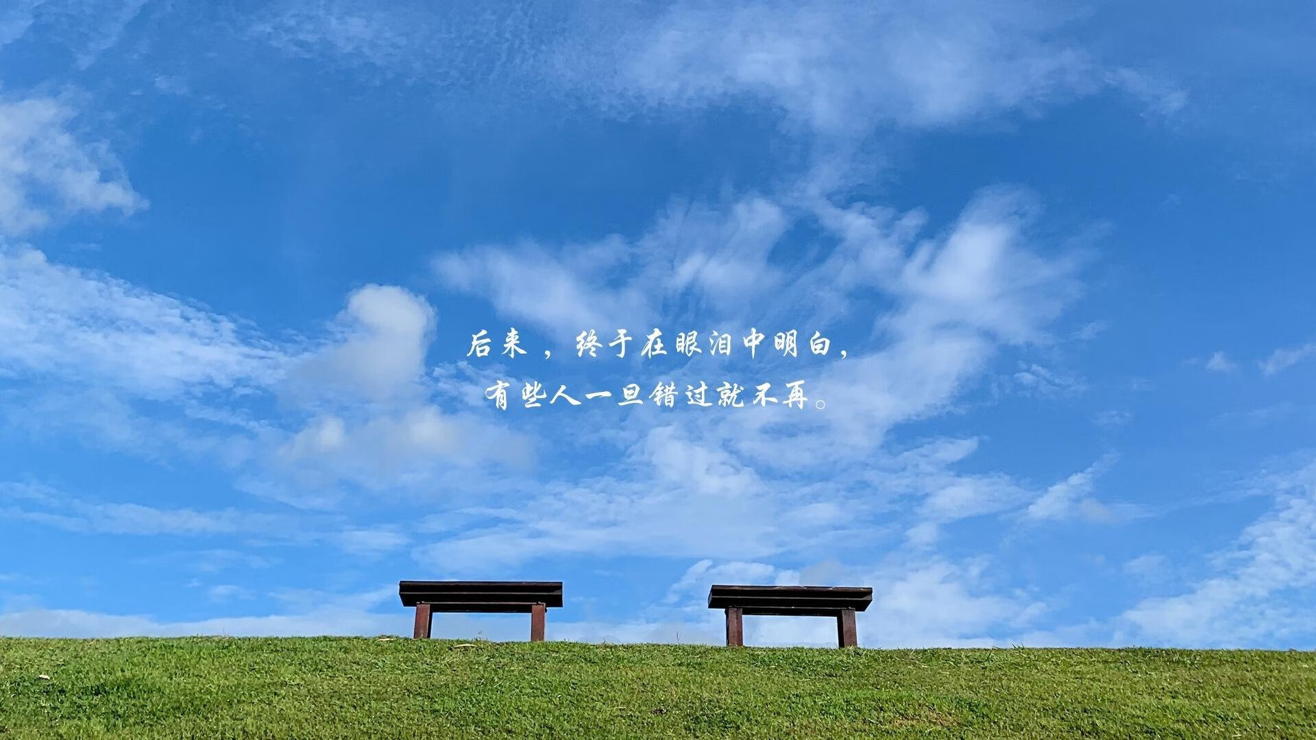 开云官网-谁将成为下一个橄榄球大国?新兴队伍掀起风潮,橄榄球 冠军