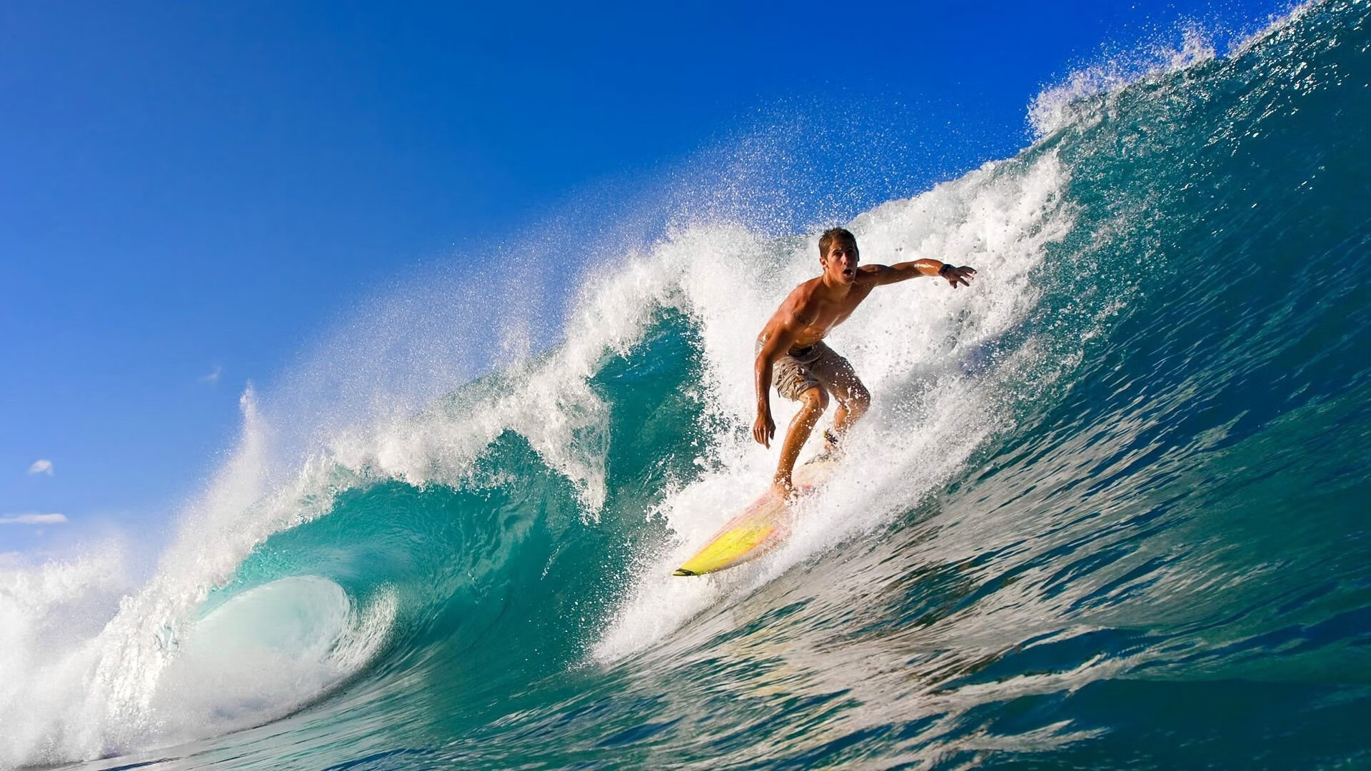 开云官方网站-青训专项基金启动，培养未来足球精英，足球青训项目